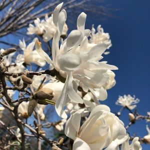 Meet your Posher, Erick